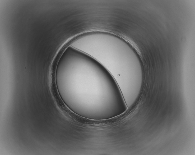 X0000113180580200909040956