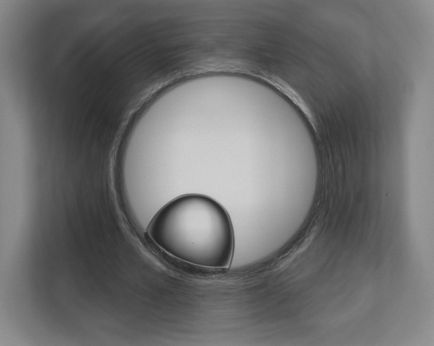 X0000113180581200909040956