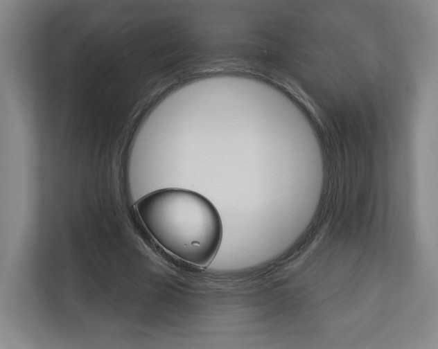 X0000113180585200909040956