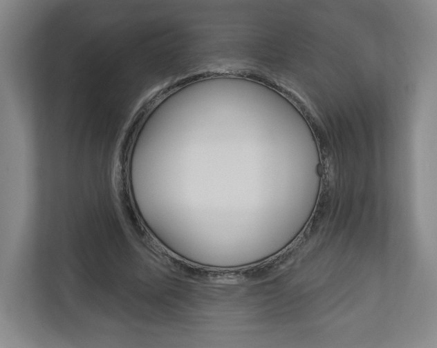 X0000113180587200909040956