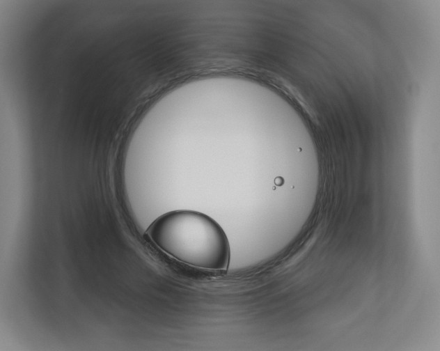 X0000113180589200909040956