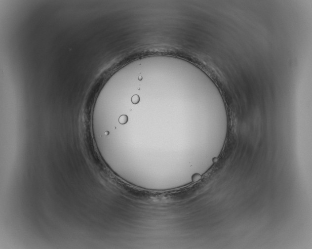 X0000113180591200909040956
