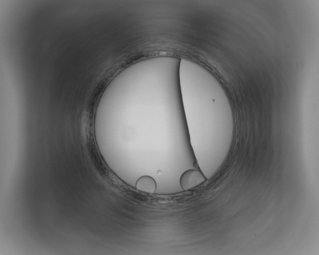 X0000113180594200909040956