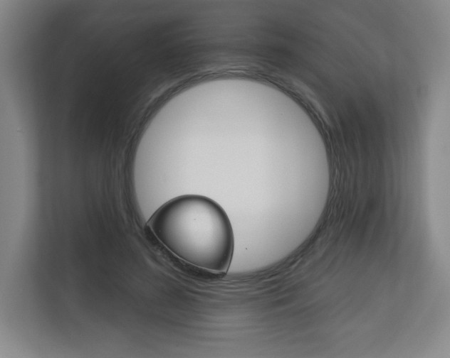 X0000113180596200909040956