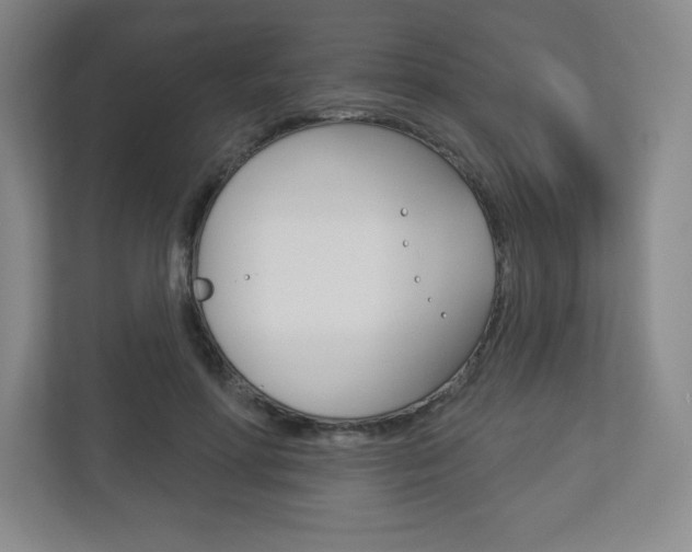 X0000113180598200909040956