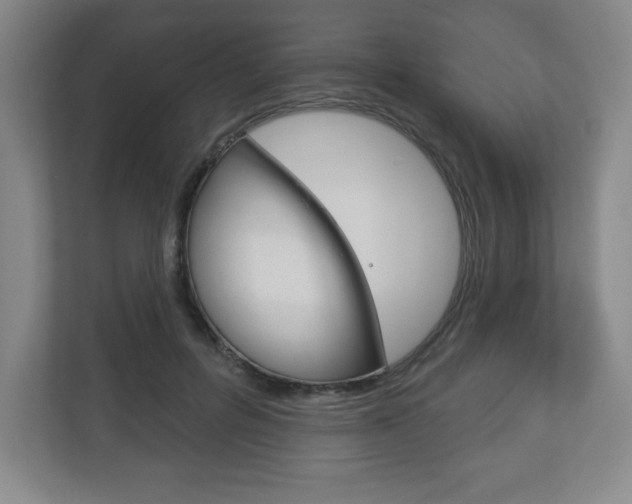 X0000113180600200909040956