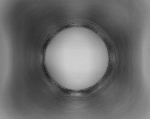 X0000113180602200909040956