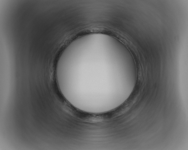 X0000113180604200909040956