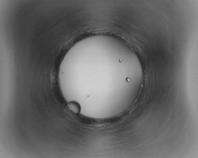 X0000113180608200909040956