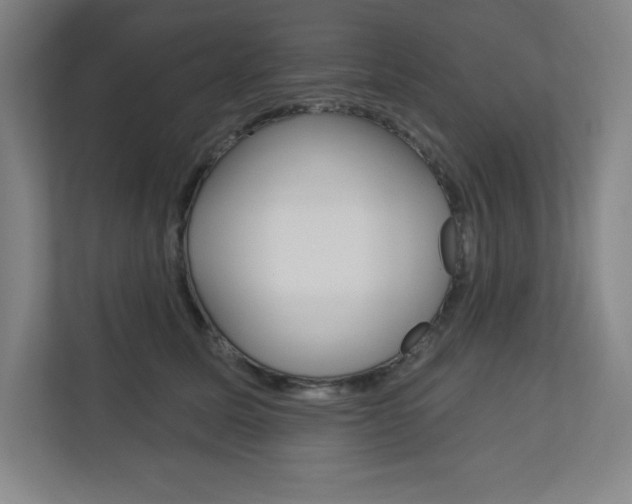 X0000113180611200909040955