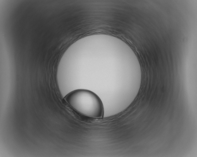 X0000113180617200909040955