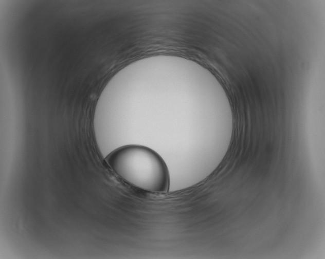 X0000113180621200909040955