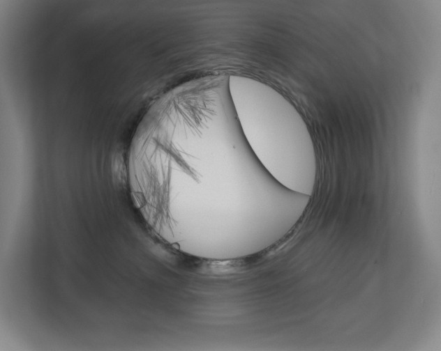 X0000113180622200909040955