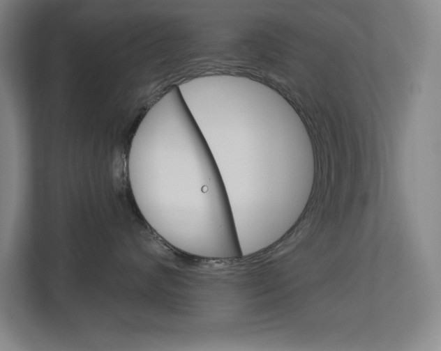 X0000113180624200909040955