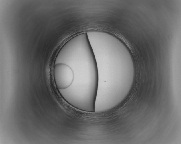 X0000113180626200909040955