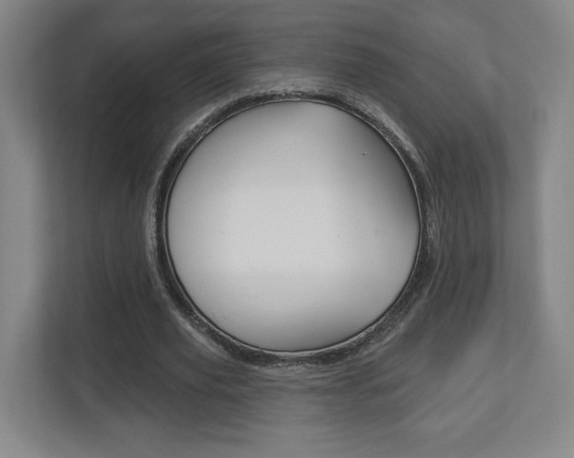 X0000113180629200909040955