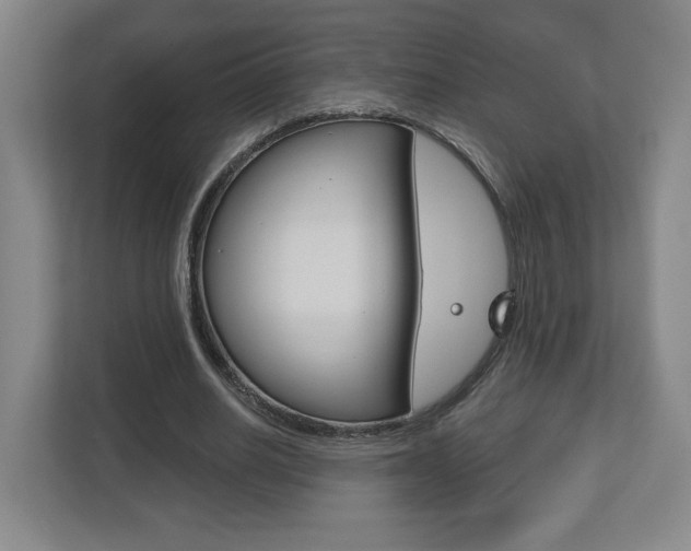 X0000113180630200909040955