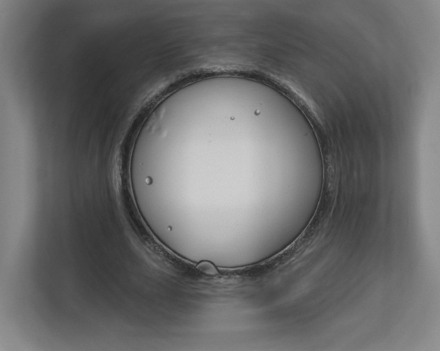 X0000113180631200909040955