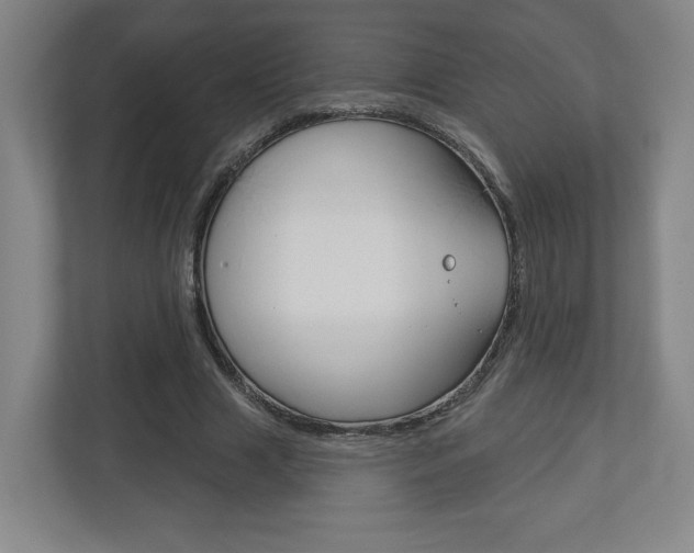 X0000113180633200909040955