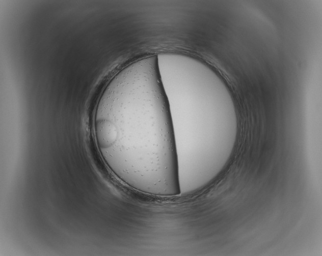 X0000113180634200909040955