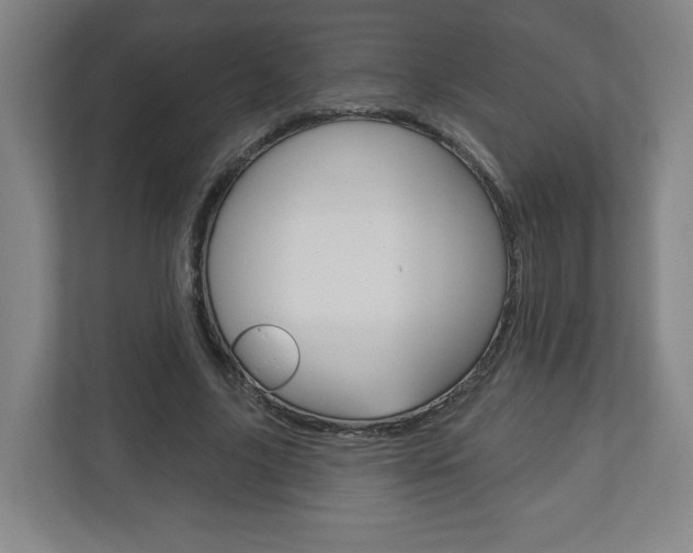 X0000113180635200909040955