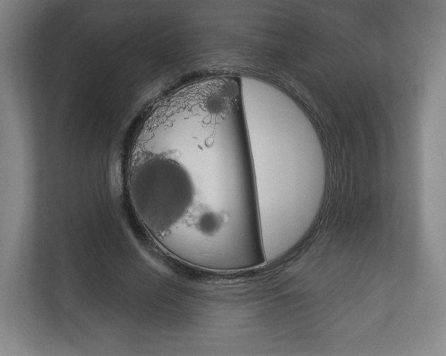 X0000113180638200909040955