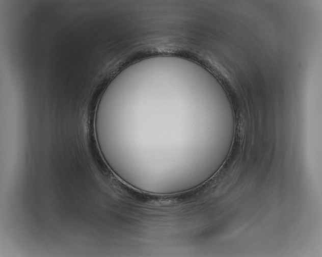 X0000113180639200909040955