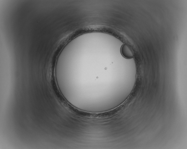 X0000113180640200909040955