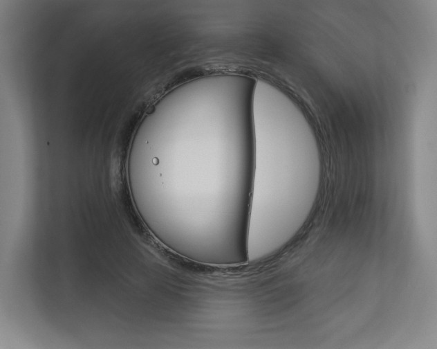 X0000113180641200909040955