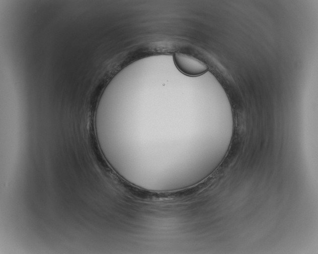 X0000113180645200909040955