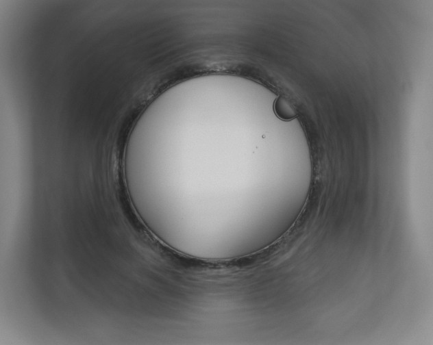 X0000113180646200909040955