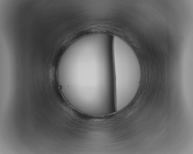 X0000113180649200909040955