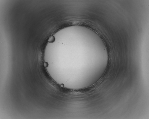 X0000113180650200909040955