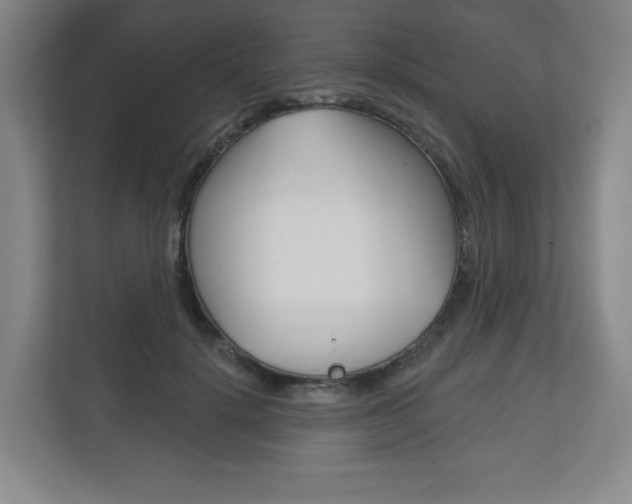 X0000113180652200909040955