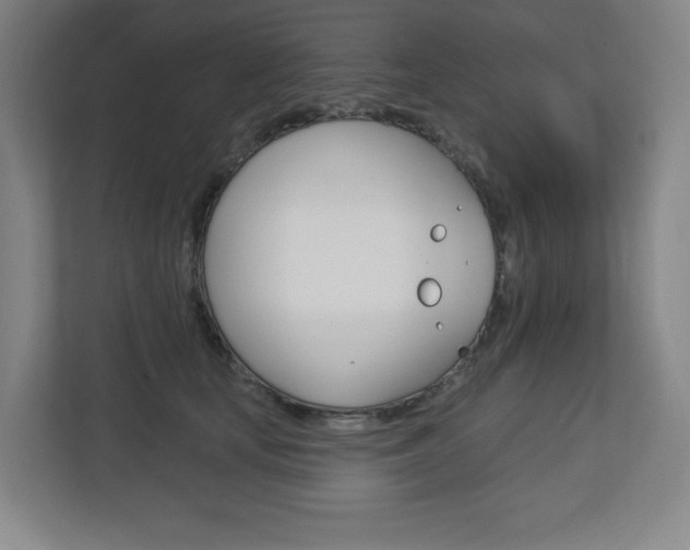 X0000113180659200909040955