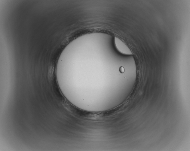 X0000113180660200909040955