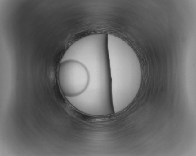 X0000113180662200909040955