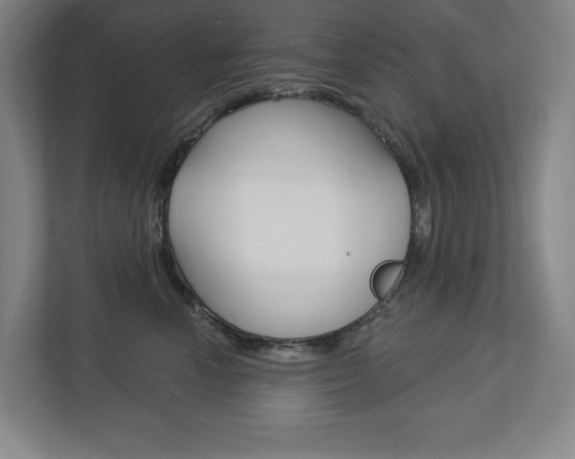 X0000113180666200909040955