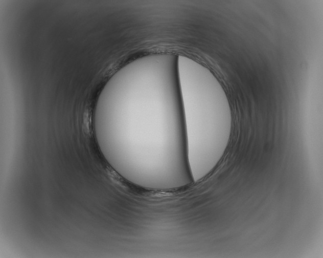 X0000113180669200909040955