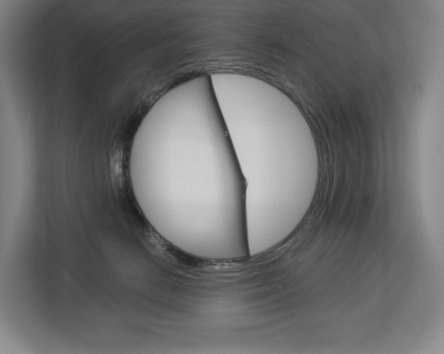 X0000113180670200909040955
