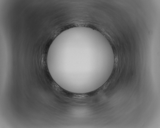 X0000113180671200909040955