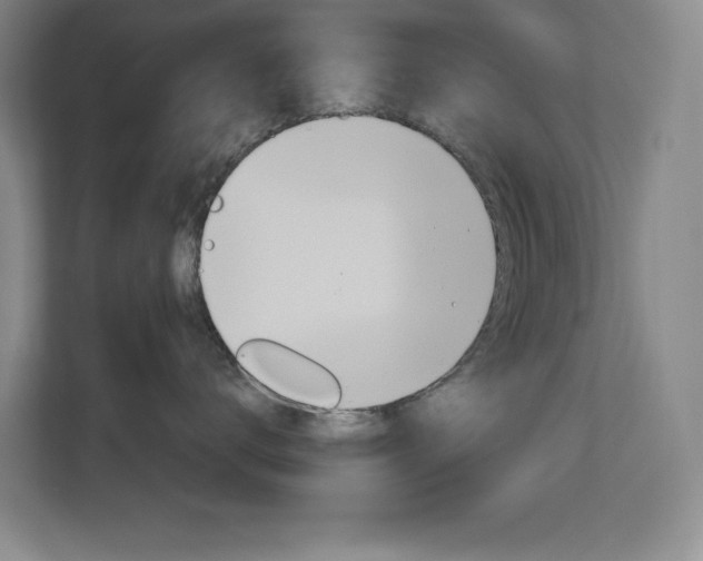 X0000113180672200909040955