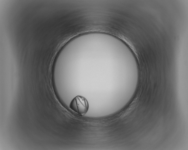 X0000113180673200909040955
