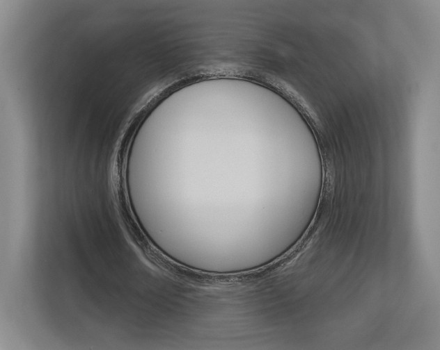 X0000113180674200909040955