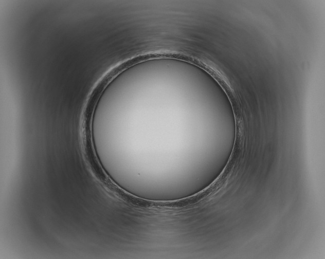 X0000113180676200909040954