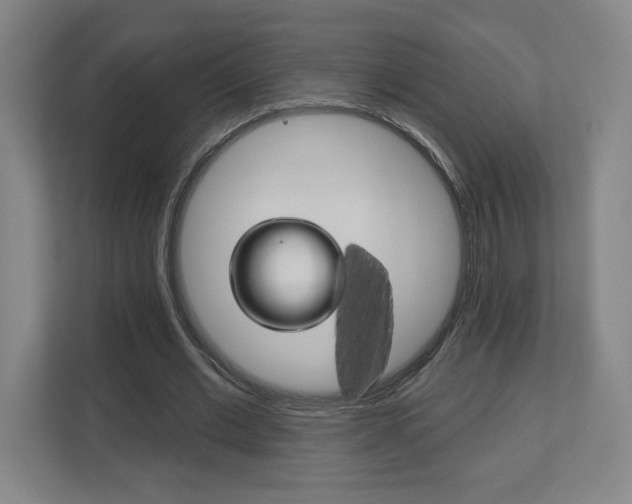 X0000113180677200909040954