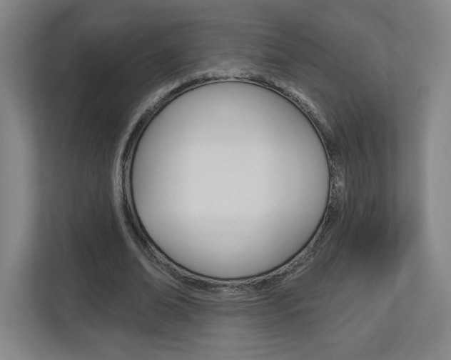 X0000113180678200909040954