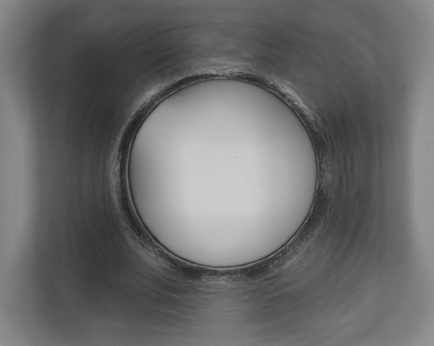 X0000113180679200909040954