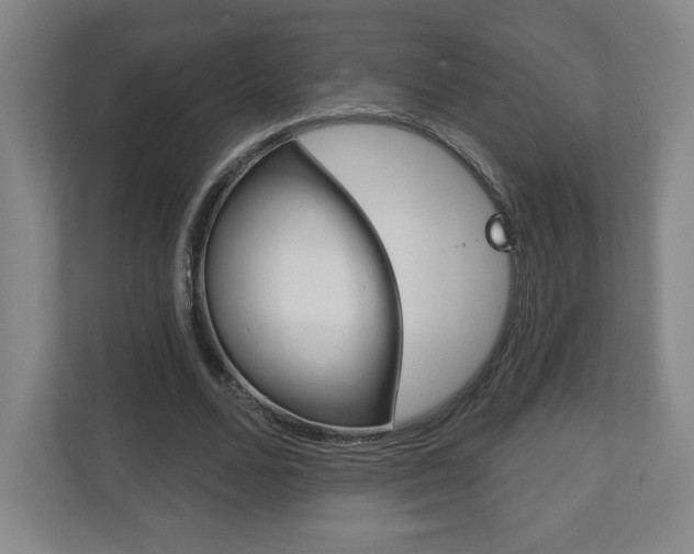 X0000113180680200909040954