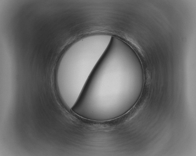X0000113180681200909040954